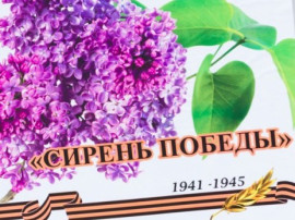 Сирень Победы. Акция Сирень Победы. Акция.